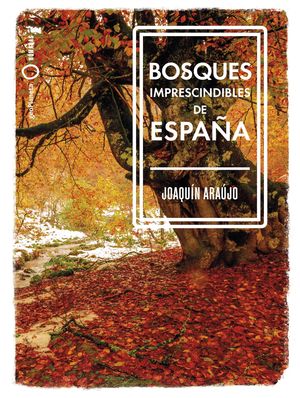 BOSQUES DE ESPAÑA