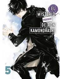 EL MISTERIO PROHIBIDO DE RON KAMONOHASHI 05