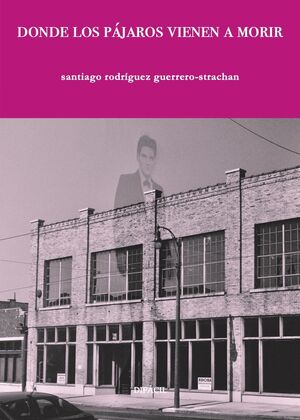 DONDE LOS PAJAROS VIENEN A MORIR