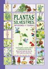 PLANTAS SILVESTRES INFUSIONES Y TISANAS