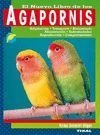 AGAPORNIS