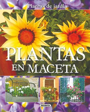 PLANTAS EN MACETAS