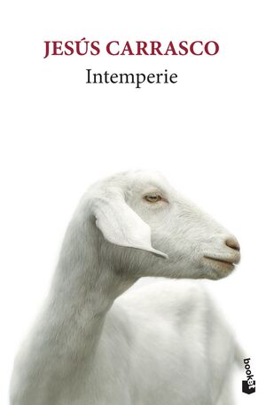 INTEMPERIE