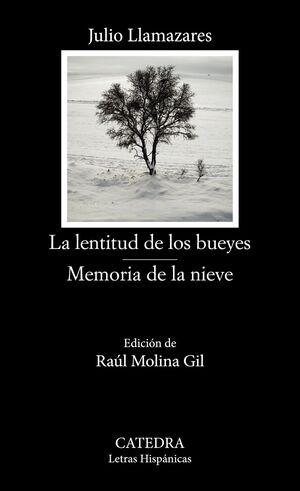 LENTITUD DE LOS BUEYES / MEMORIA DE LA NIEVE, LA