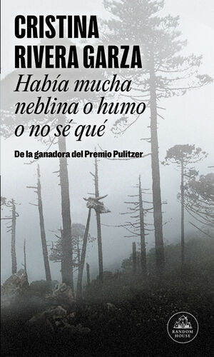 HABÍA MUCHA NEBLINA O HUMO O NO SÉ QUÉ