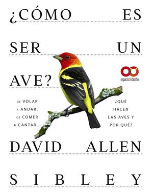 ¿CÓMO ES SER UN AVE? DE VOLAR A ANIDAR, DE COMER A CANTAR... ¿QUÉ HACEN LAS AVES