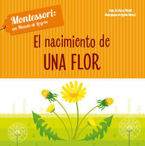 EL NACIMIENTO DE UNA FLOR