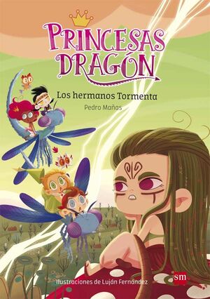 PRINCESAS DRAGON LOS HERMANOS TORMENTA