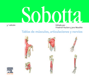 SOBOTTA CUADERNO DE TABLAS MUSCULOS, ARTICULACIONE