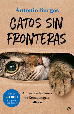 GATOS SIN FRONTERA