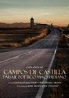 100 AÑOS DE CAMPOS DE CASTILLA