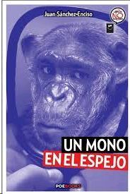 MONO EN EL ESPEJO