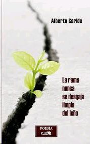 LA RAMA NUNCA SE DESGAJA LIMPIA DEL LEÑO