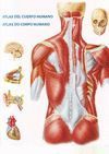 CORPUS HUMANUM. ATLAS DEL CUERPO HUMANO