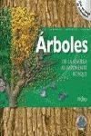 ARBOLES. DE LA SEMILLA AL IMPONENTE BOSQUE