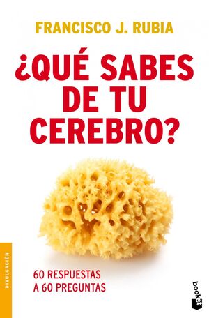 ¿QUE SABES DE TU CEREBRO?