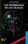 LAS MEMBRANAS DE LAS CELULAS